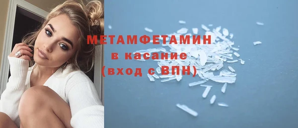 прущие грибы Волоколамск