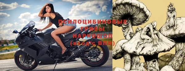 прущие грибы Волоколамск