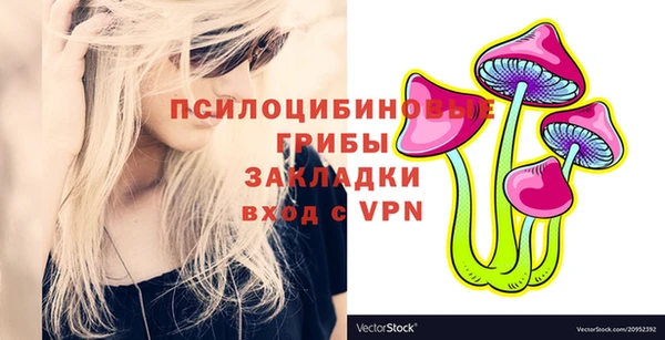 a pvp Вязники