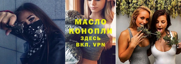 прущие грибы Волоколамск