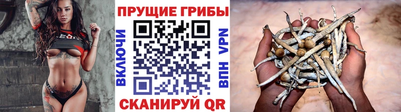 площадка как зайти  Краснослободск  Галлюциногенные грибы ЛСД  кракен зеркало 